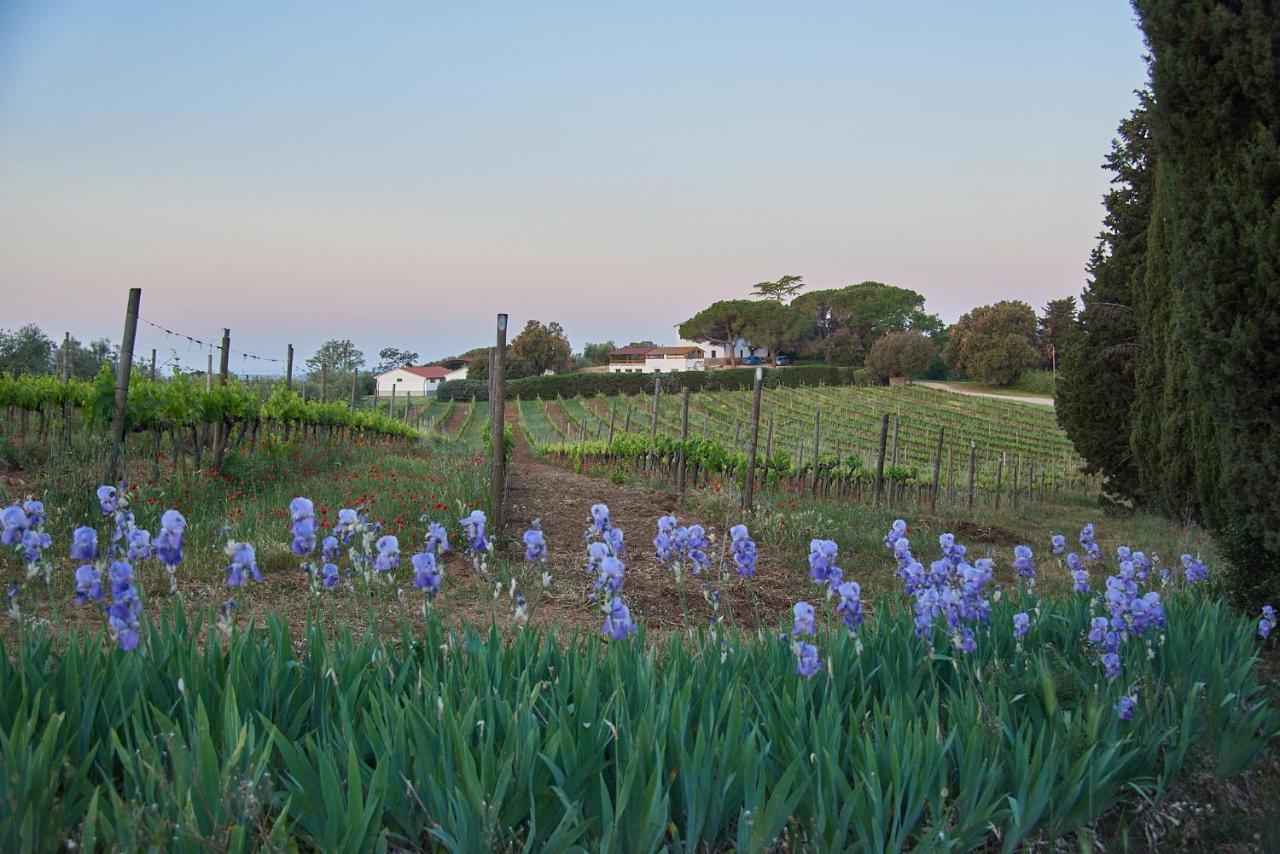 Agriturismo Tesorino Massa Marittima Ngoại thất bức ảnh