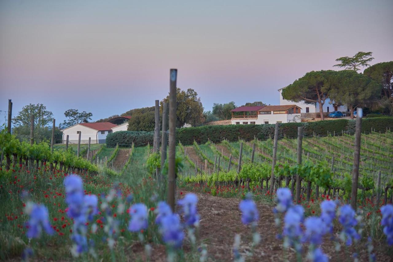Agriturismo Tesorino Massa Marittima Ngoại thất bức ảnh