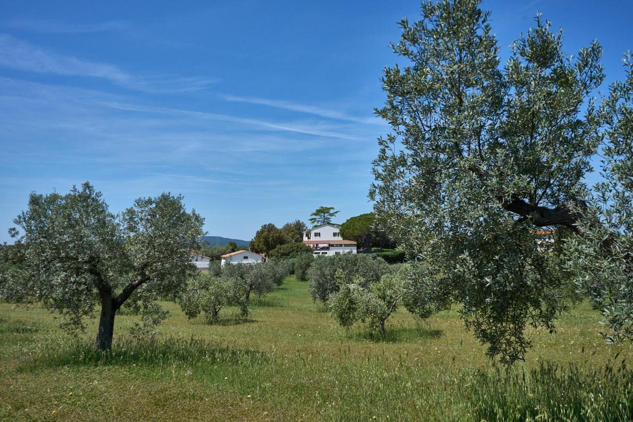 Agriturismo Tesorino Massa Marittima Ngoại thất bức ảnh
