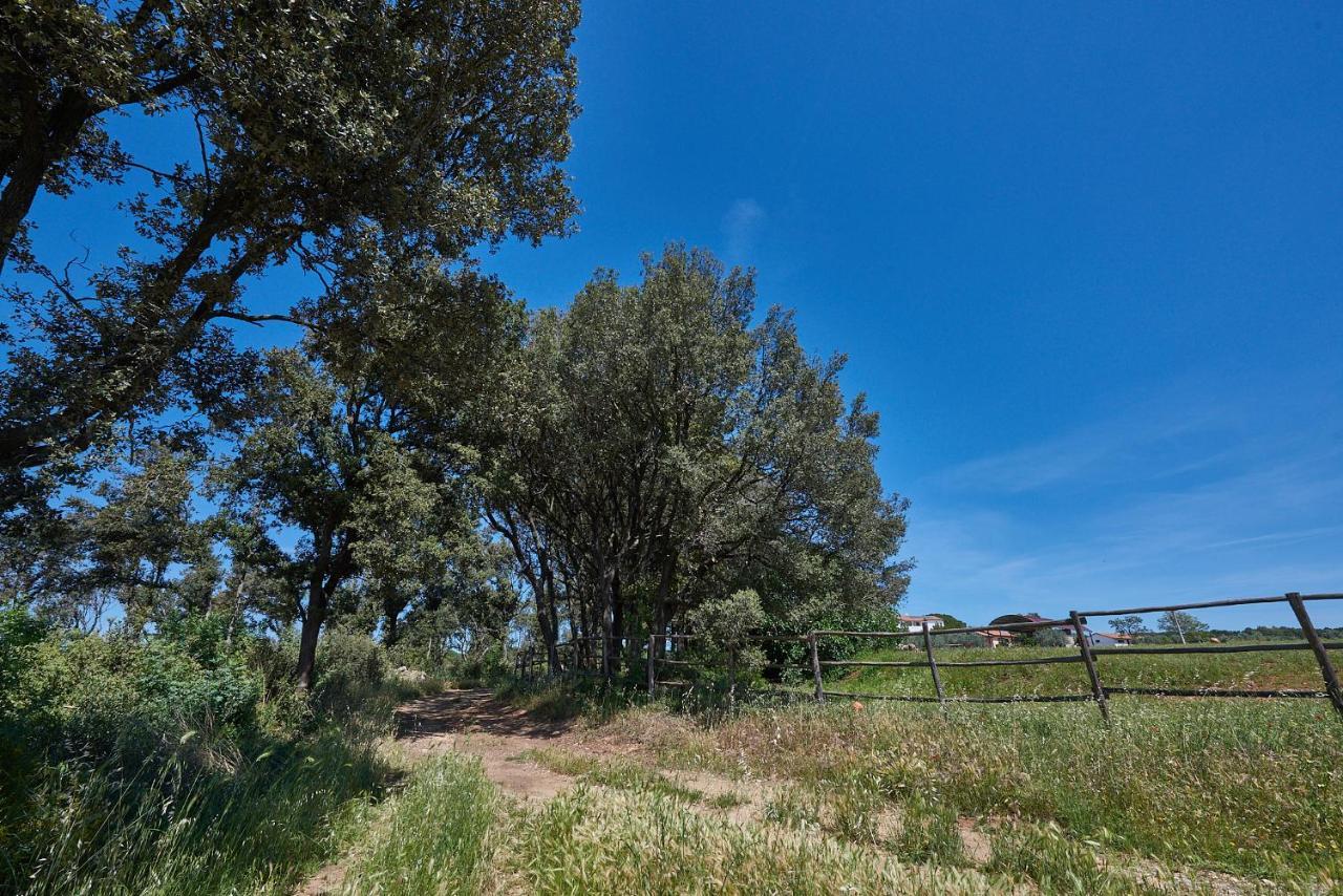 Agriturismo Tesorino Massa Marittima Ngoại thất bức ảnh