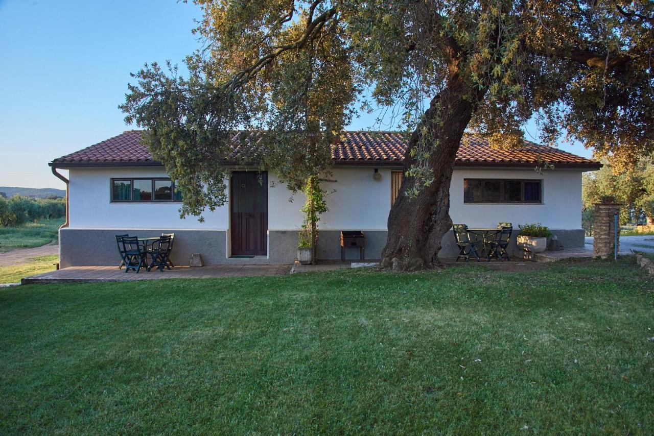 Agriturismo Tesorino Massa Marittima Ngoại thất bức ảnh